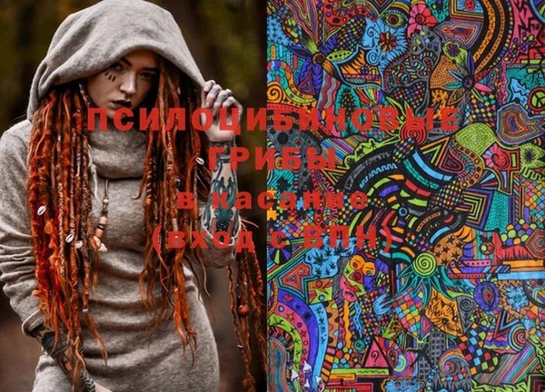 PSILOCYBIN Беломорск