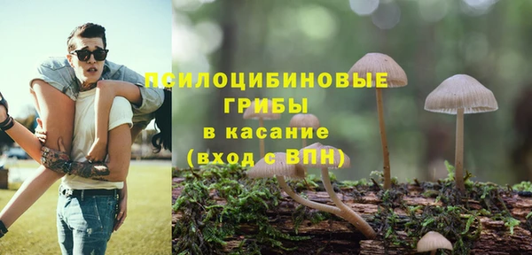 ешки Белоозёрский