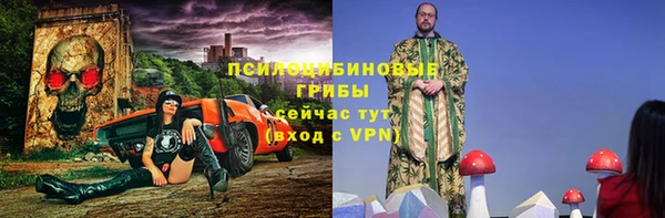 PSILOCYBIN Беломорск