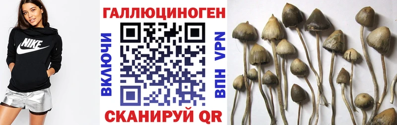 Псилоцибиновые грибы MAGIC MUSHROOMS  Кушва 